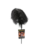 OSTRICH FEATHER BLACK -SS70001