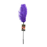 OSTRICH FEATHER PURPLE -SS70002